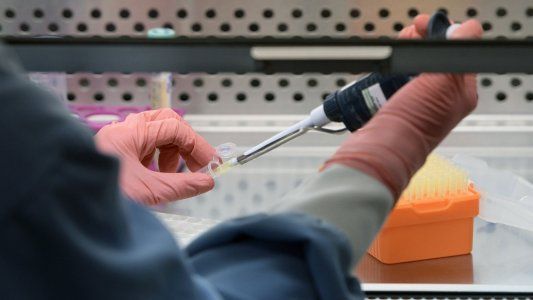 Tras la renuncia de Dora Barrancos, en el Gobierno niegan que haya recortes en el Conicet y hablan de adecuar el crecimiento del organismo