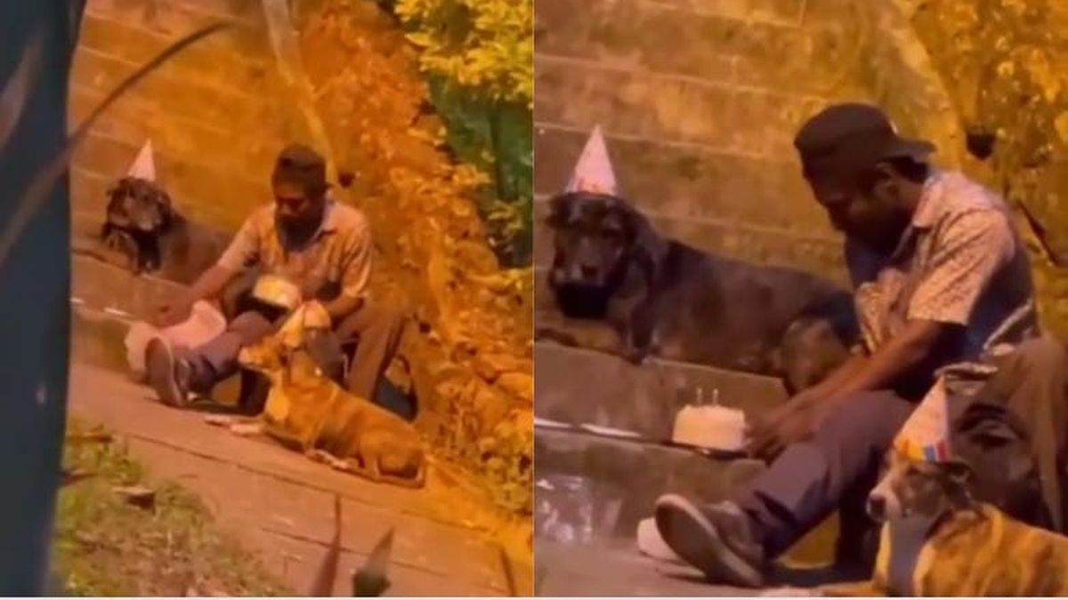 Conmovedor: persona en situación de calle le festejó el cumpleaños a sus perros