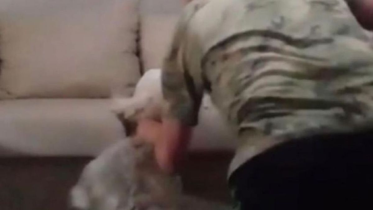 En el video se puede ver al joven pegándole patadas y palazos a su propia mascota y luego sube los videos a las redes sociales.