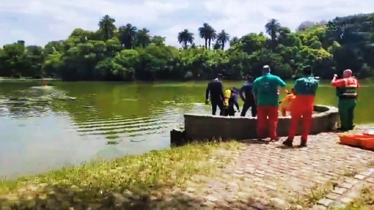 Lagos de Palermo. Las tareas de rastrillaje siguen en el lugar.