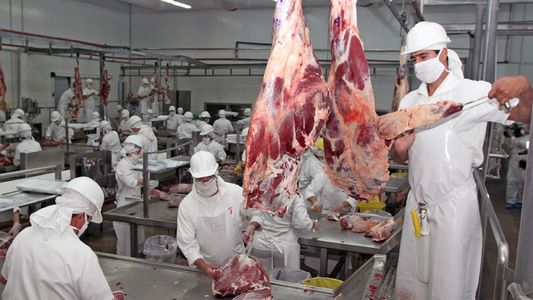 ¿Habrá dólar carne? Tras la soja y las economías regionales, frigoríficos esperan respuesta sobre un beneficio similar para el sector