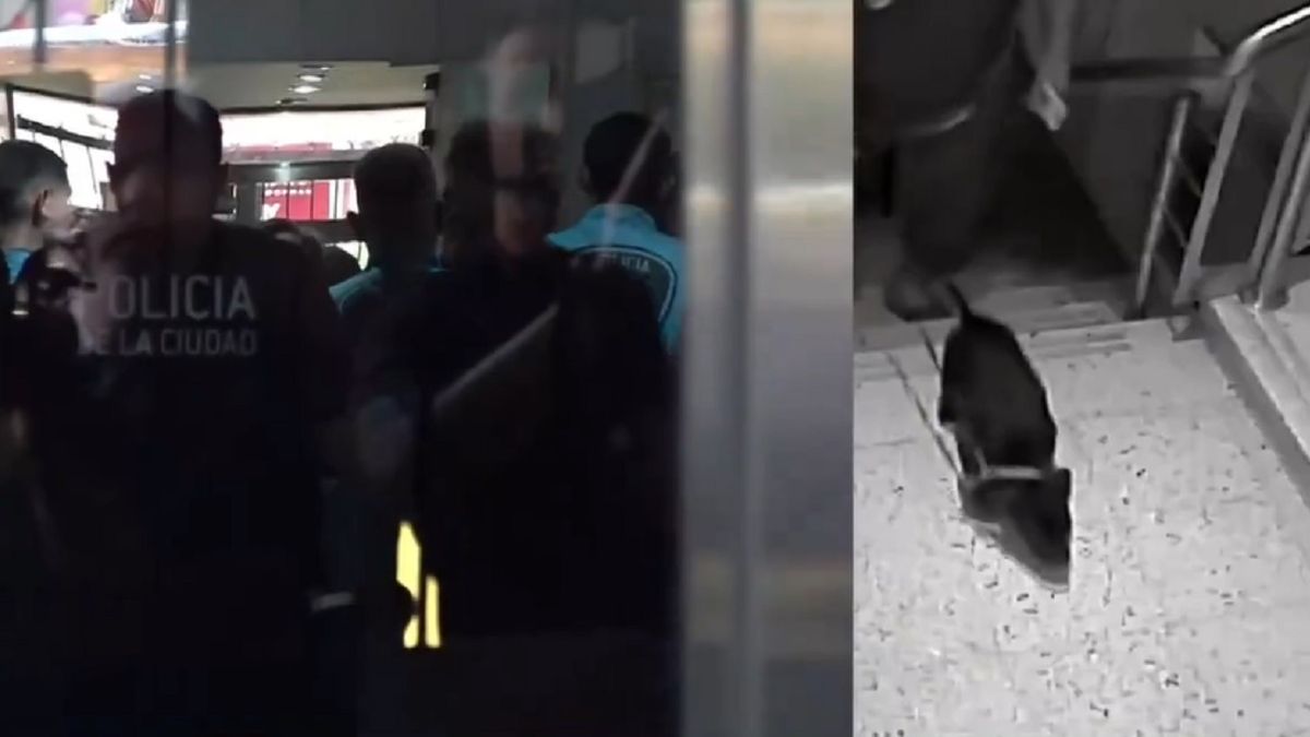 El vecino violento de Balvanera