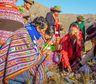 Además de la caña con ruda: el otro ritual que se hace el 1° de agosto para tener prosperidad
