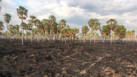 Por sequía e incendios, piden que se declare la emergencia agropecuaria en Formosa
