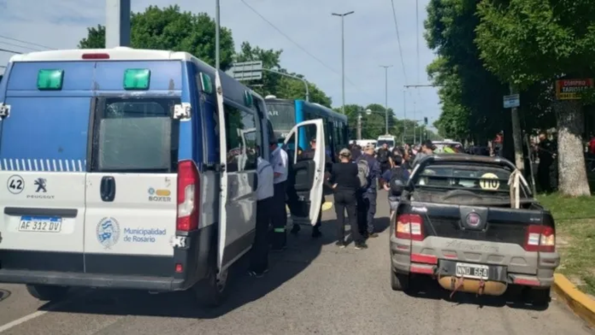 El insólito error de un conductor que provocó la trágica muerte de una estudiante de Medicina por un colectivo