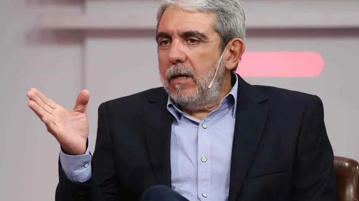 Aníbal Fernández alertó sobre grupos orquestados detrás de los ataques a comercios (Foto: archivo)