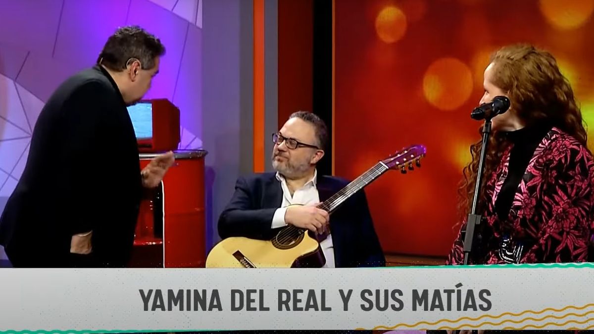 Matías Kulfas. De ministro de Producción a guitarrista (Foto: captura de TV)
