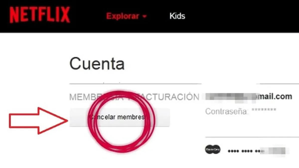 C&oacute;mo dar de baja Netflix &nbsp;