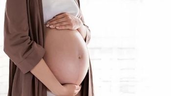 ANSES Complemento Leche 1000 días: Qué asignaciones familiares pueden cobrarlo