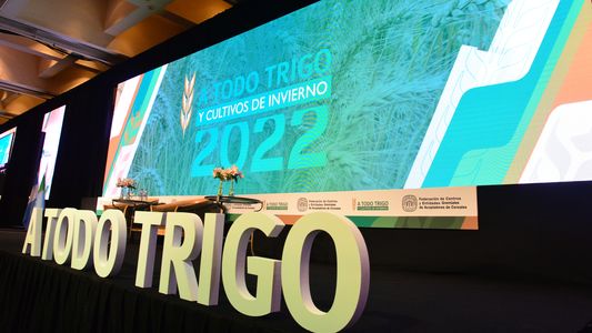 Al trigo le subió la temperatura: los debates calientes sobre política y tecnología
