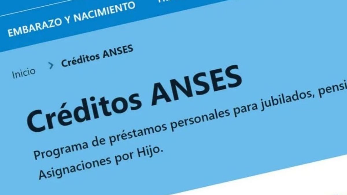 Créditos ANSES; ¿se pueden sacar aún los préstamos de hasta 1 millón para trabajadores? (Foto: archivo).