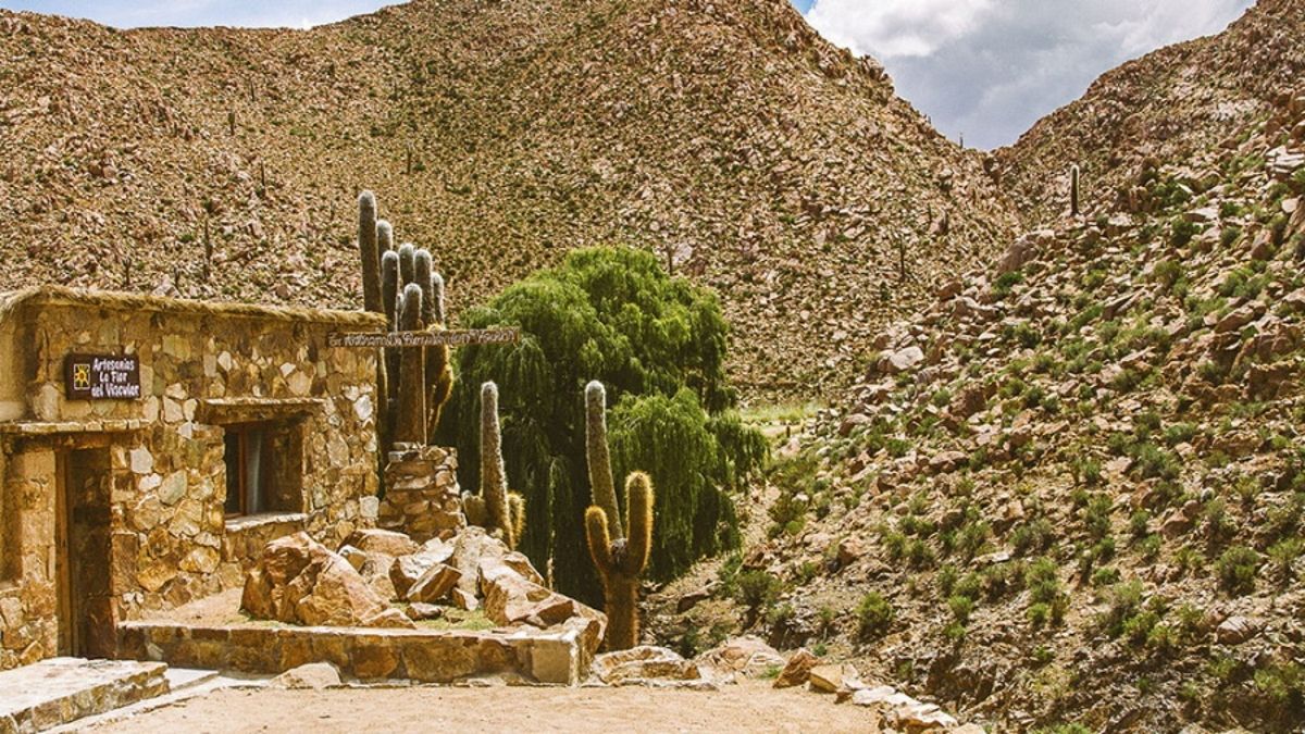 San Francisco de Alfarcito (Jujuy).