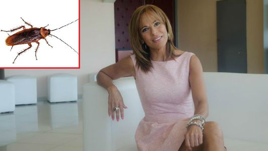 Iliana Calabró: Son plagas de cucarachas voladoras gigantes