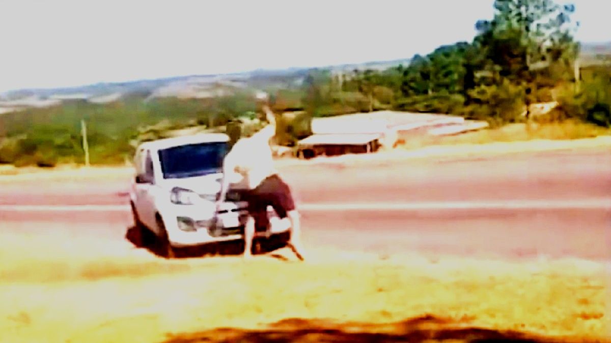 El detenido es oriundo de la provincia de Río Negro y empleado estatal. Foto: captura de Tv.