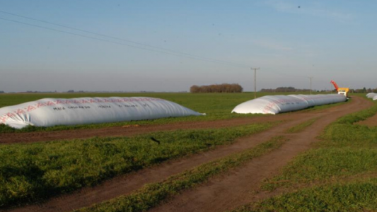 CRA con los tapones de punta contra los malintencionados: el campo no especula, produce
