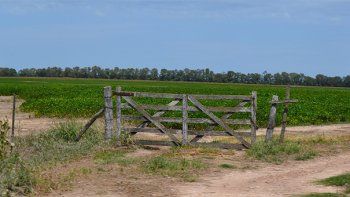 ARBA ofrece pagar con descuento de hasta 20% la cuota 4 del Inmobiliario Rural y el Complementario