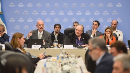 Diputados retomará el trabajo el lunes para escuchar a sectores alcanzados por la Ley Ómnibus