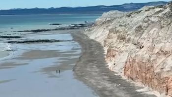 Desesperada búsqueda de Pedro Kreder y Juana Morales: Encontraron...