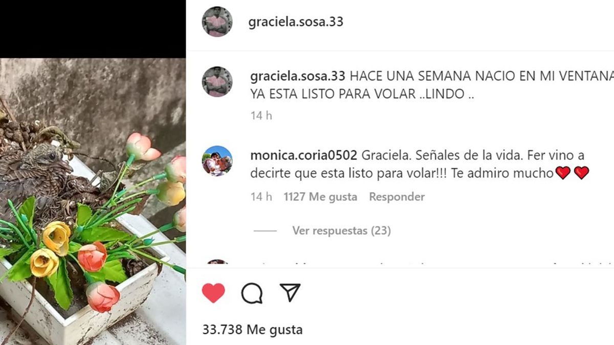 La nueva publicaci&oacute;n en Instagram de la mam&aacute; de Fernando B&aacute;ez Sosa. (Foto: captura)
