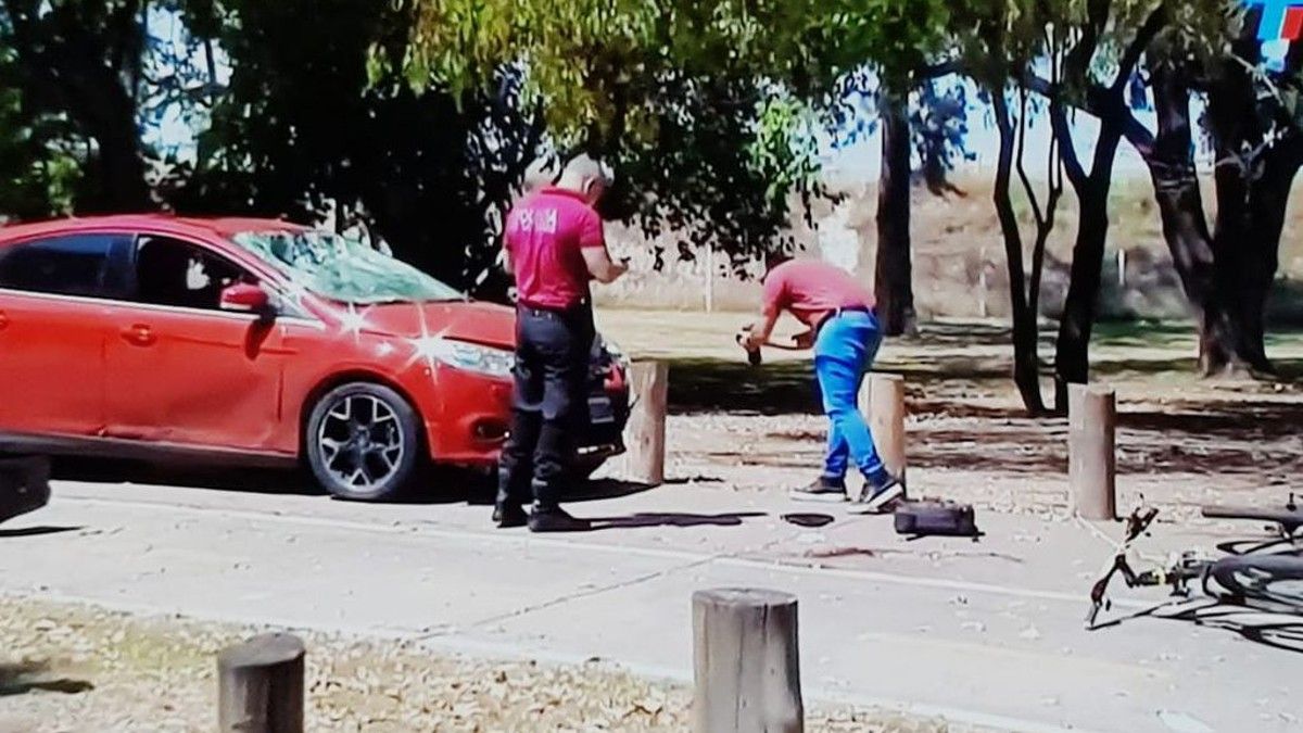 Video: Cómo Escapó El Conductor Que Atropelló Y Mató En Los Bosques De ...