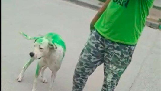 Pintaron a un perro con los colores de un candidato tucumano