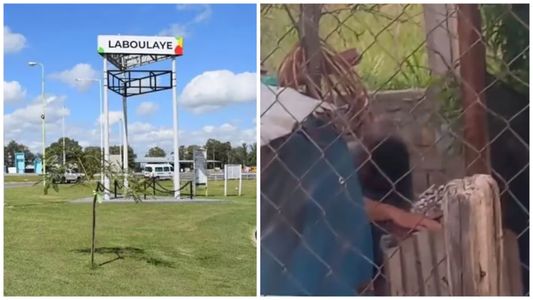 Horror en Córdoba: un hombre mató a su perro a mazazos y un vecino los filmó