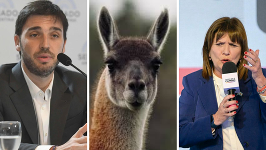 ¿Sólo viven guanacos?: la insólita pelea entre Bullrich y Torres por la cantidad de habitantes de Chubut