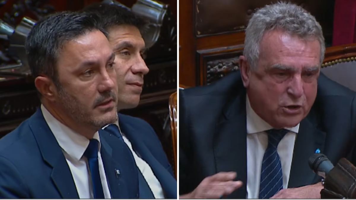 El enojo de Luis Petri con la oposición: Al peronismo le recomiendo que vaya al psicólogo