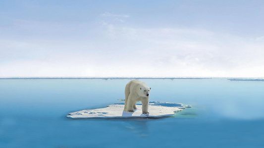 Dramático: la desaparición de los hielos permanentes del Polo Norte ya tiene fecha
