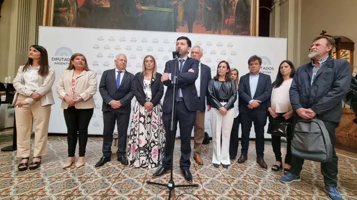 Diputados piden crear una comisión para investigar a Milei por el escándalo cripto. (foto: archivo)