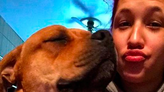 Emotivo reencuentro: fue a una perrera a adoptar una mascota y encontró al perro que había perdido hace dos años