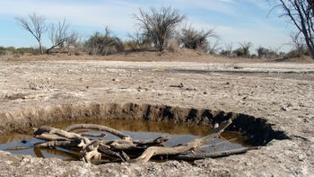El campo anticipó que marcha a la Ciudad: reclaman medidas concretas para afrontar la sequía
