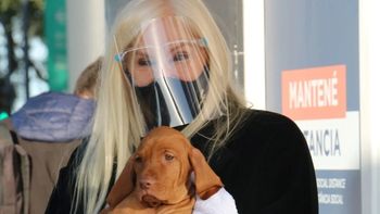 Cómo hizo Susana Giménez para bajar 7 kilos en menos de un mes