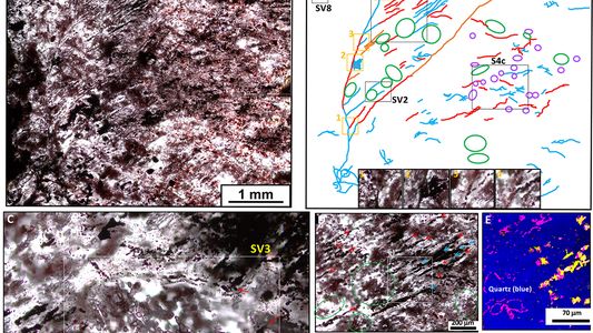 Científicos aseguran haber encontrado los indicios de vida más antiguos de la Tierra: ¿de hace cuántos millones de años son?