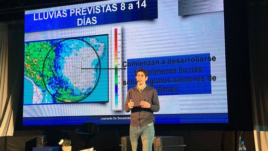 ¿Alcanzan las lluvias de estos días para cerrar la campaña agrícola? La situación en distintas zonas productivas