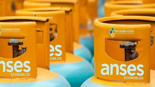 ANSES: quiénes no cobrarán el Programa Hogar en diciembre 2024