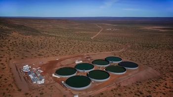 Expertos de Argentina exponen en EE.UU. por la gran proyección energética de Vaca Muerta