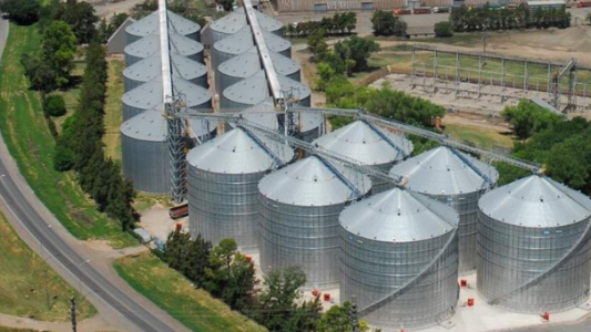 Nacimiento, gloria y ocaso de Vicentin: la empresa que quiere quedarse el Estado