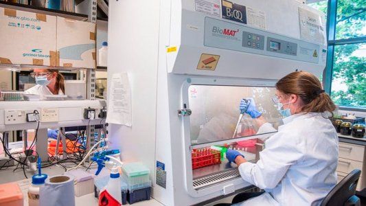 Confirman la llegada de la vacuna de Oxford-AstraZeneca a Argentina: serán 580 mil dosis en febrero