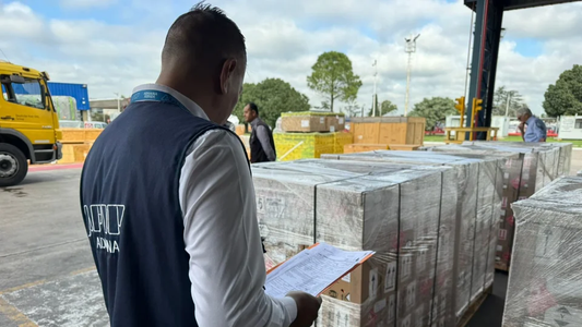 Llegó la primera carga de repelentes importados: por qué todavía no se pueden vender