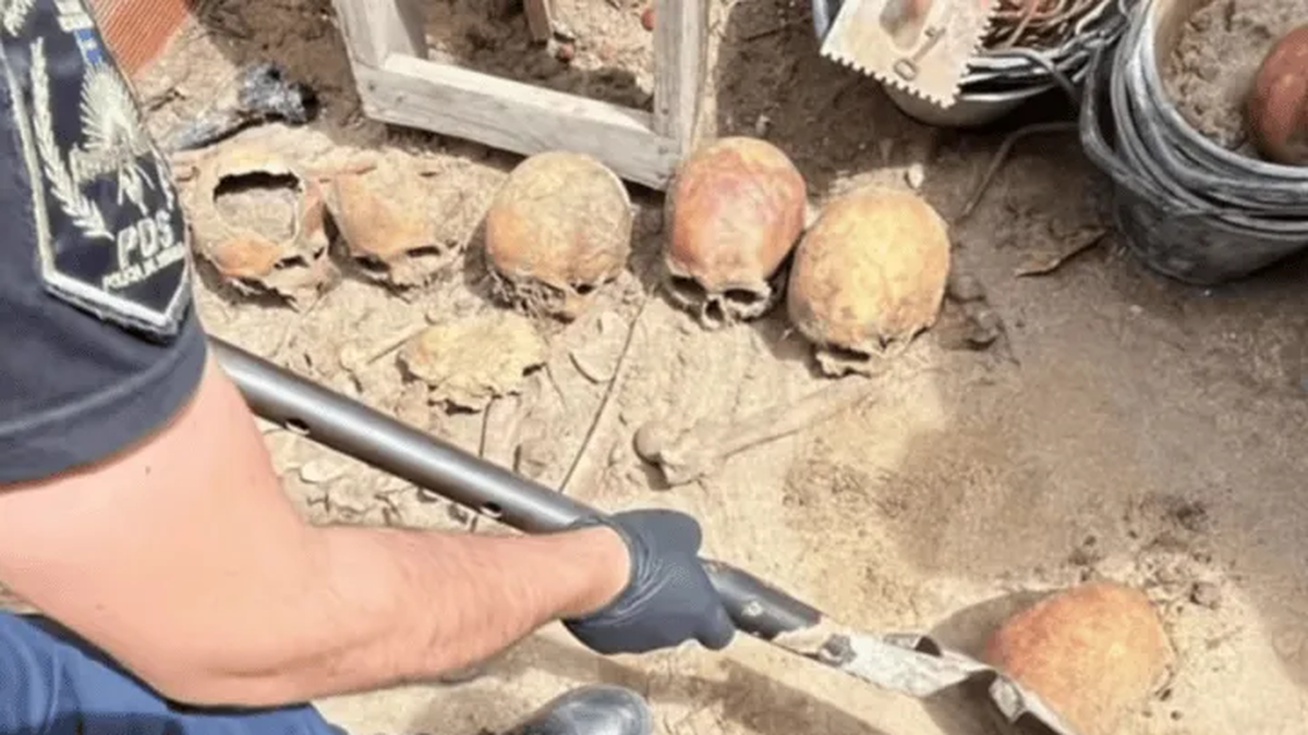 Tras el hallazgo de un primer cráneo