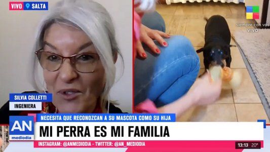 Es ingeniera del INTA y pide que reconozcan a su perra como una hija para poder cuidarla