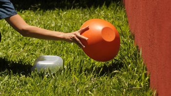 Las preguntas fundamentales para saber cómo actuar ante el Dengue