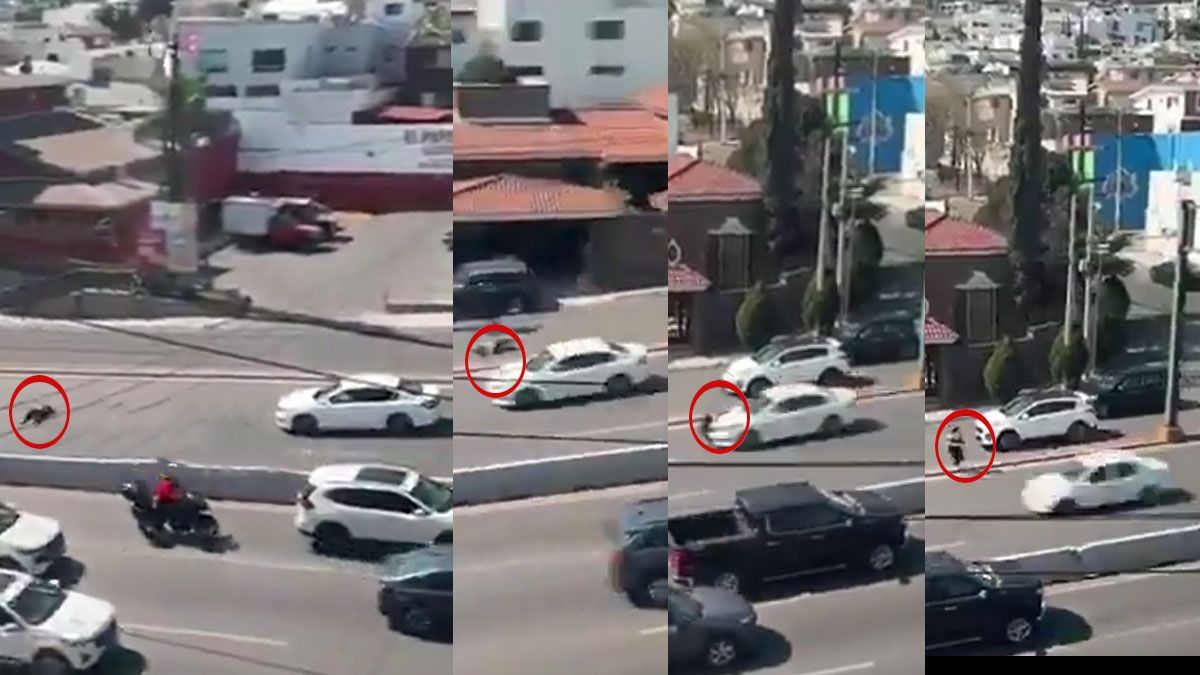 La secuencia de la mujer embestida por un auto muestra la violencia del impacto y la cantidad de metros que vol&oacute; por los aires. (Foto: Captura de TV)