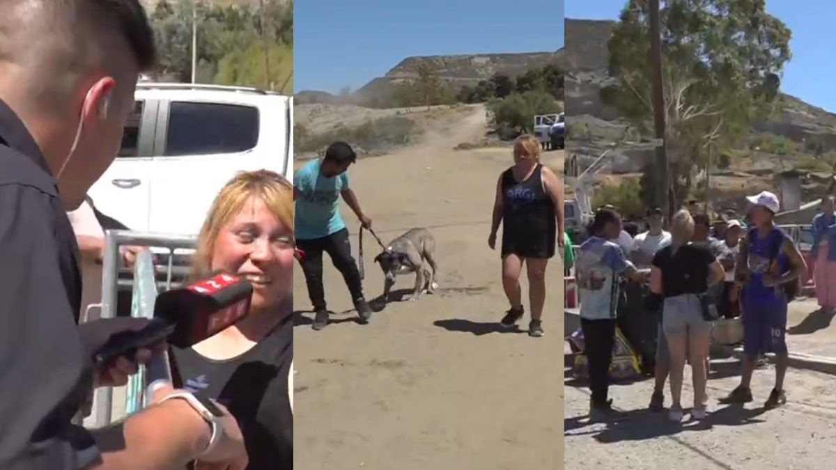 Impacto total en Comodoro Rivadavia: las devstadoras imagesnes del barrioque quedó partido tras el desprendimiento del Cerro Hermitte