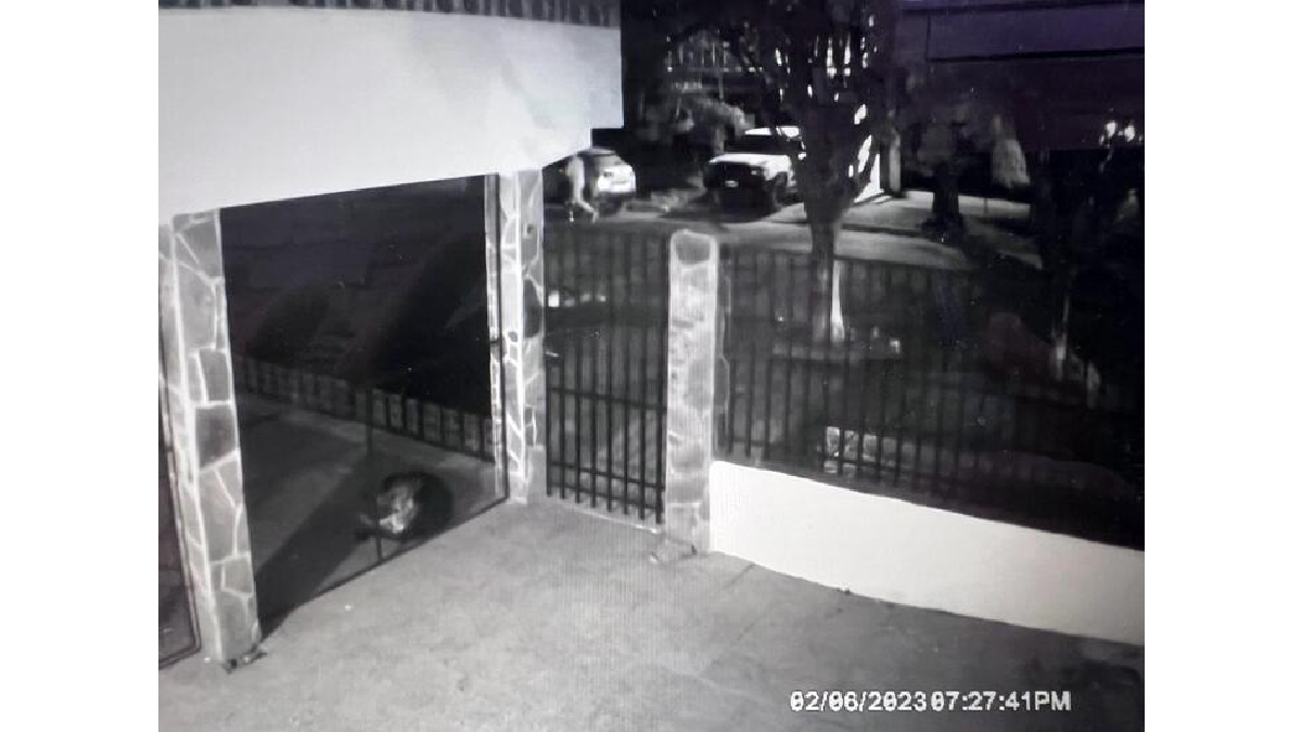 Exclusivo A24 | Las imágenes que podrían cambiar todo en el caso Cecilia (Foto: captura)