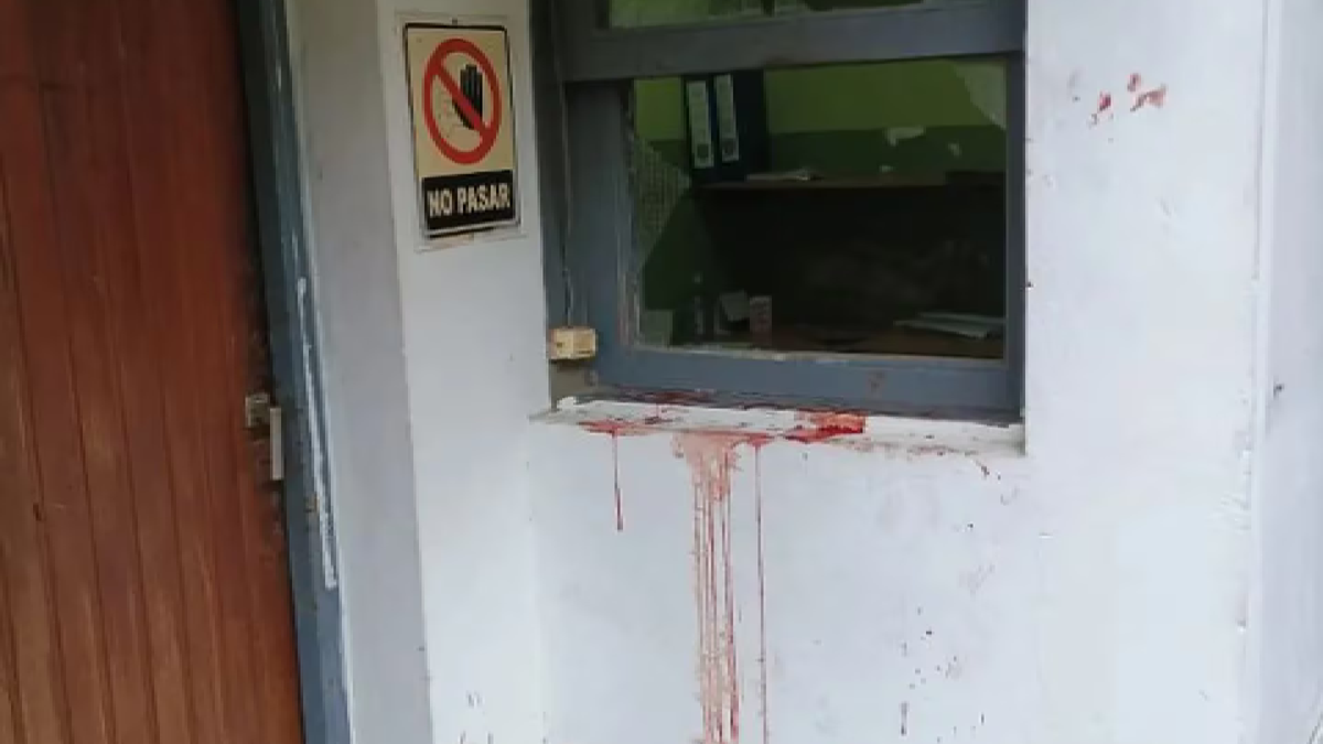 Detuvieron a una mujer que destrozó una morgue tras pedir el cuerpo de un familiar que murió hace 29 años. (Foto: gentileza 0221.com.ar)