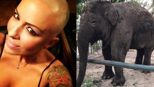 La cruzada de Daniela Cardone para rescatar a la elefanta del zoológico de Luján