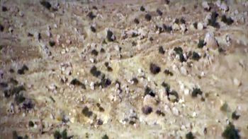 Cambio climático: el dramático informe de la ONU que alerta sobre efectos irreversibles