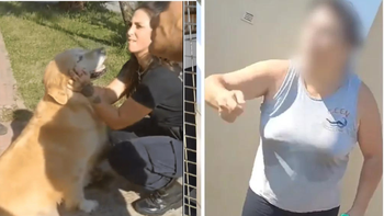 Una mujer quiso faenar a su perro en La Plata. (Foto: captura de video)